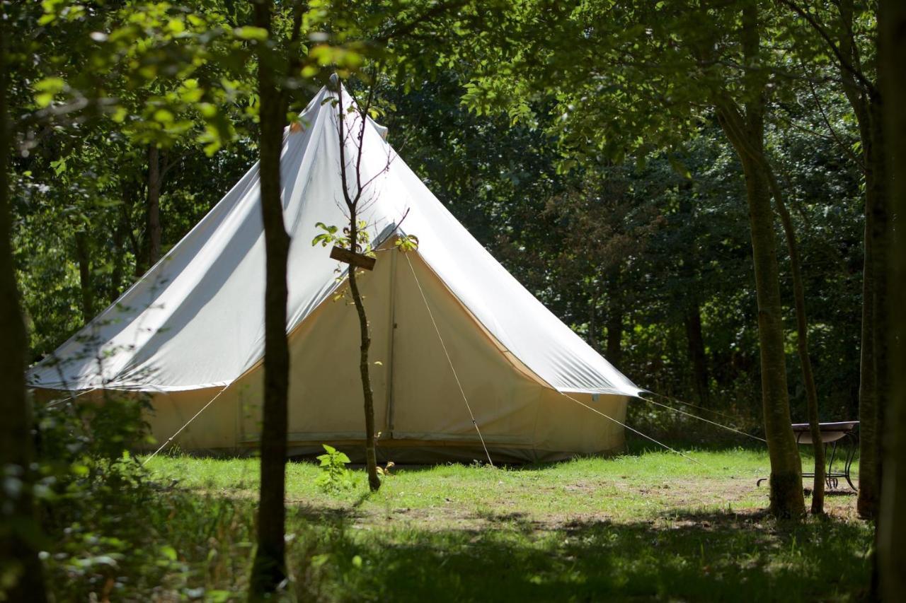 Hotel Dgg Woodland Escape South Barrow Exteriér fotografie