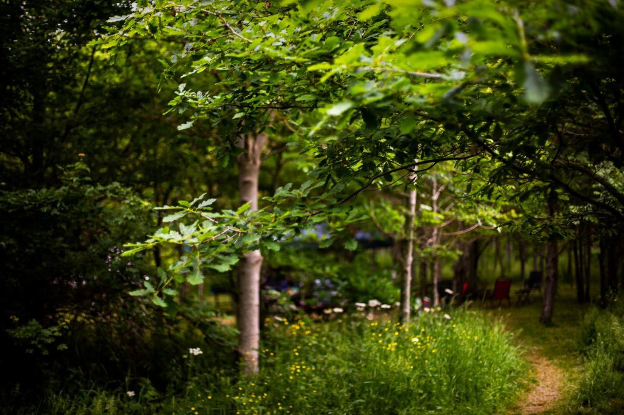 Hotel Dgg Woodland Escape South Barrow Exteriér fotografie