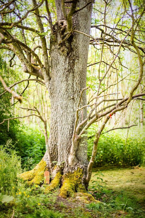 Hotel Dgg Woodland Escape South Barrow Exteriér fotografie
