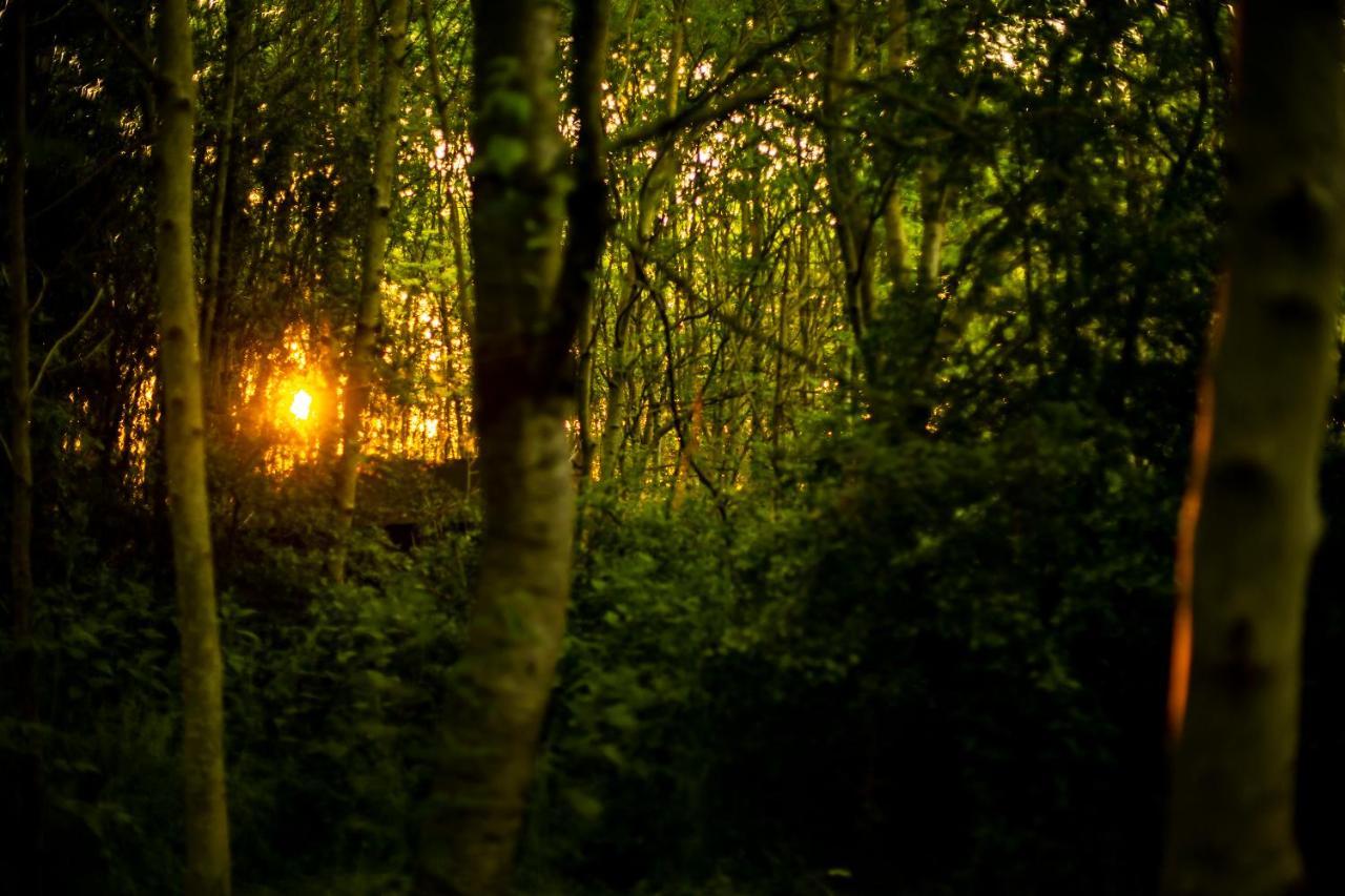 Hotel Dgg Woodland Escape South Barrow Exteriér fotografie