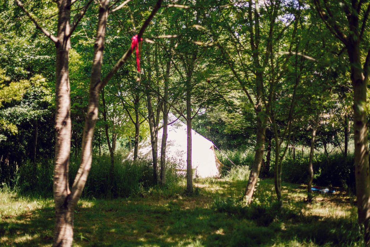 Hotel Dgg Woodland Escape South Barrow Exteriér fotografie